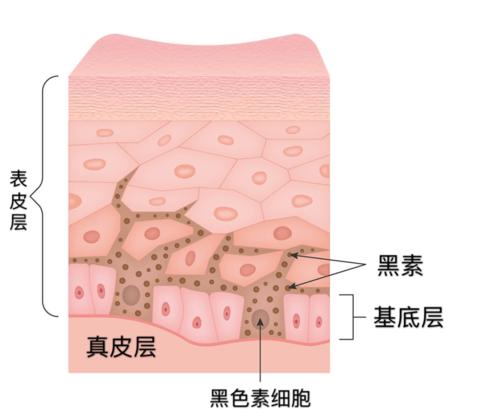 脸上痘印多久会自行消失,在脸上挤痘痘留下的痘印会消失吗