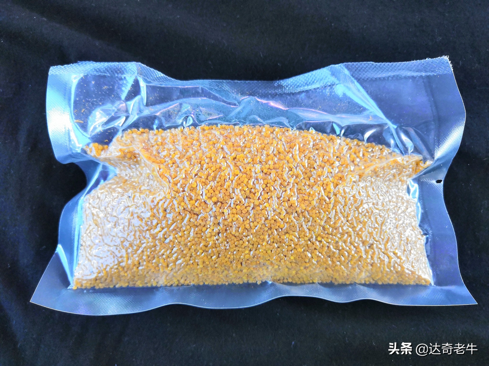 vb麦粒饵搭配窝料,vb麦粒饵可以钓哪些鱼