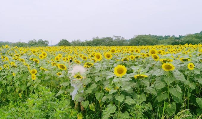 长沙市民去的长沙景点,其实长沙还藏着很多小众景点