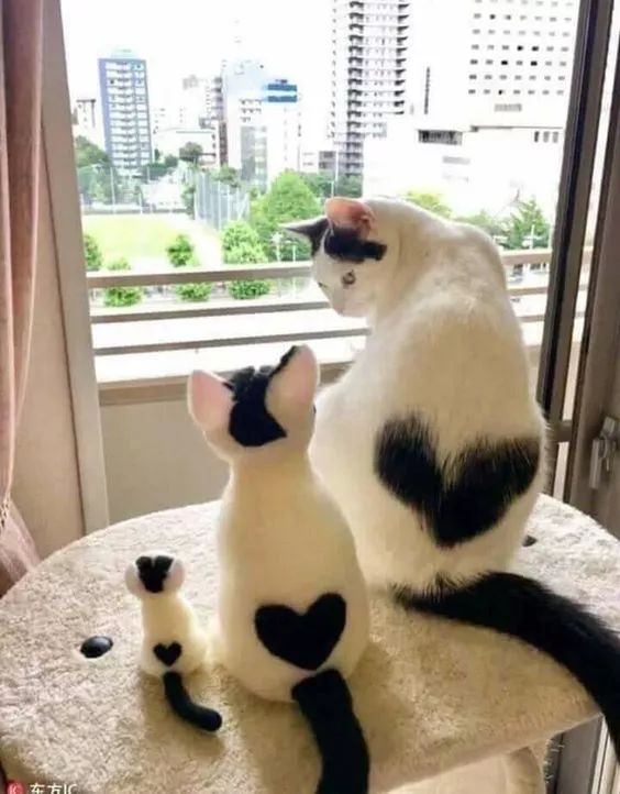 发现被别人偷拍照片,偷拍别人的照片是否违法