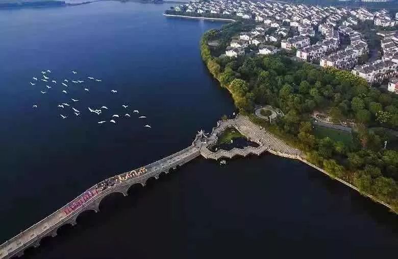 为盐城骄傲,为江苏人自豪图片