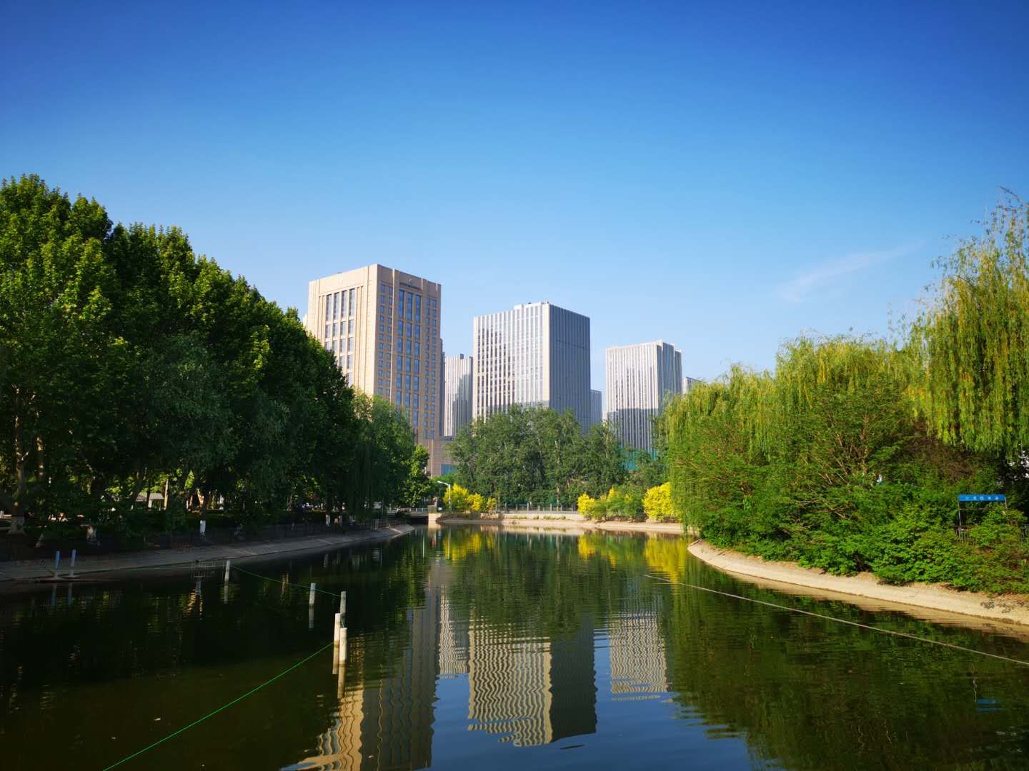 石家庄有哪些免费玩的地方—世纪公园