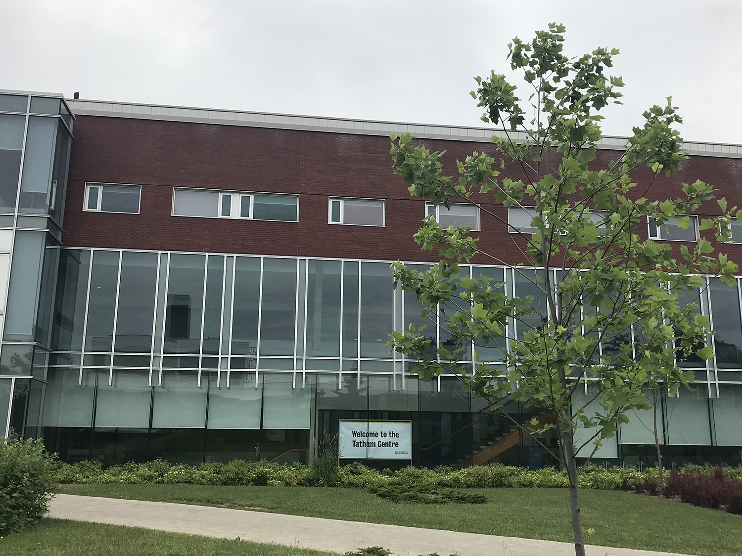 加拿大十所常青藤大学排名,加拿大常春藤联盟有哪些学校