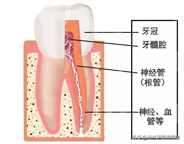 牙齿发炎常规处理？当心延误病情！（值得收藏，推荐）