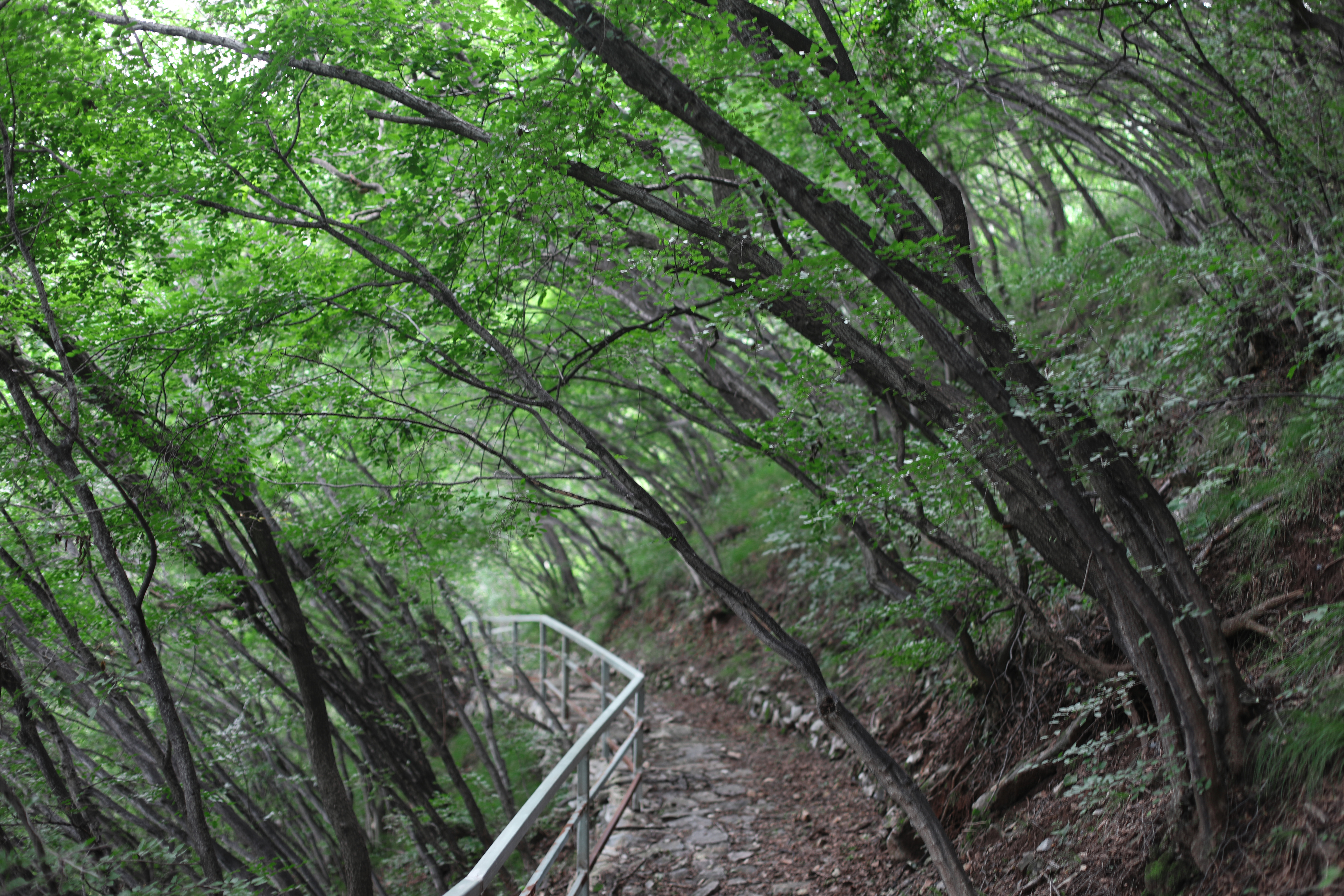 京郊十条登山步道推荐,房山蝴蝶谷登山步道