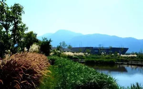 西昌邛海湿地公园旅游线路,西昌邛海湿地属于哪个省