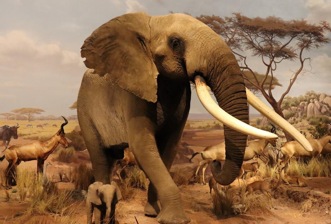 你越弱，身边的“坏人”就越多，甚至会发现自己根本没有朋友