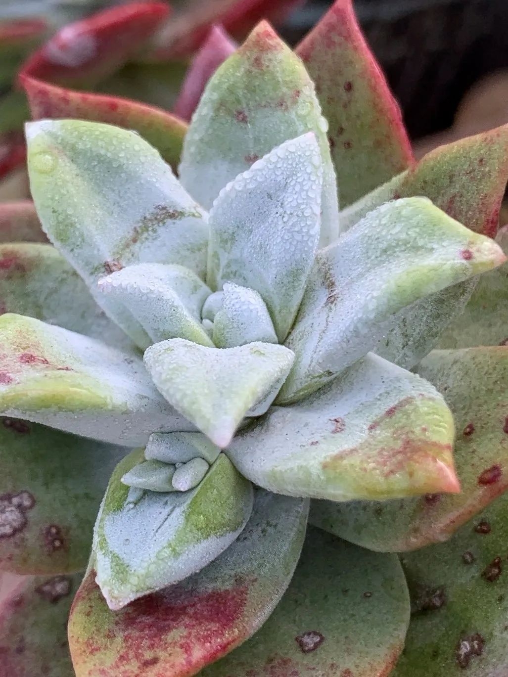 禁足的日子收获颇多,禁足