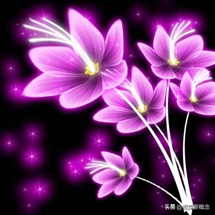 ps教程制作花海,用ps设计绚丽光影花朵图案教程