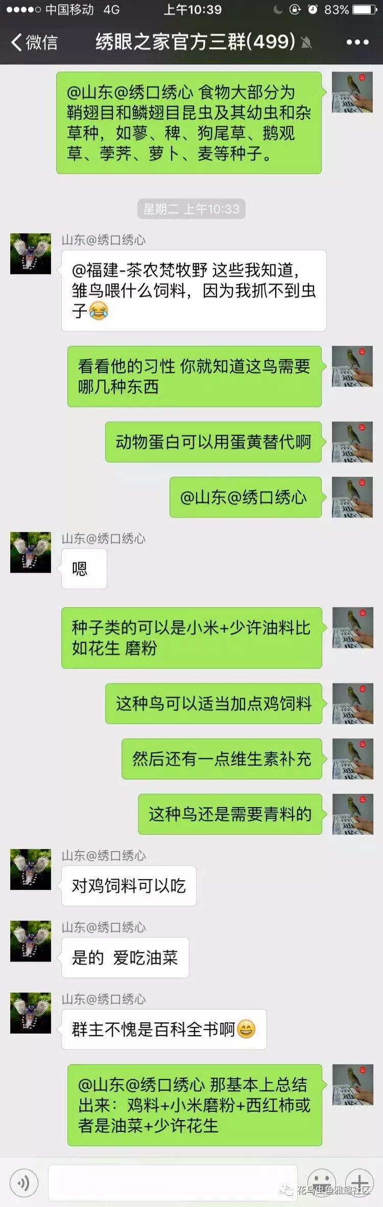 鸟儿怎么快速上手,鸟控食的正确步骤