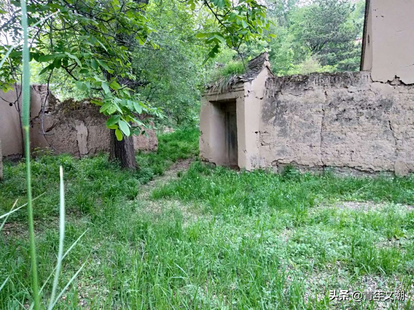 姥姥的老屋图片大全,姥姥的老屋散文