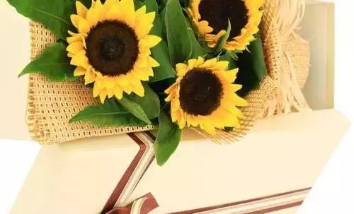 当了花艺师之后，过得都是什么生活？