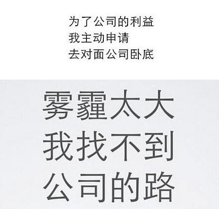 最奇葩的辞职信表情包,史上最奇葩的辞职信
