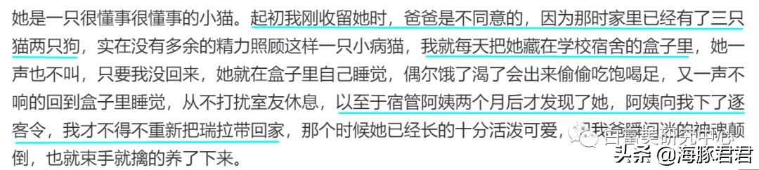 北京小公主靠吸猫血成百万大V，直播整容、大照骗、2年养死3只猫