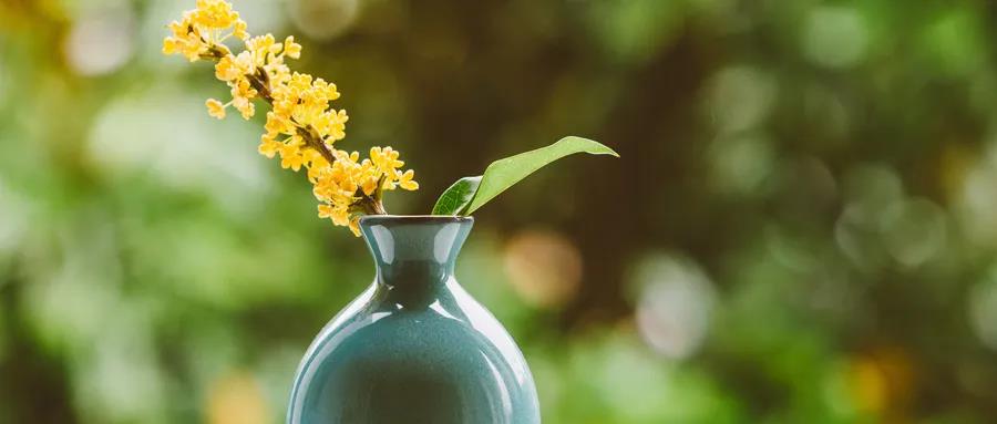 sle早期表现,sle有哪些危险因素应该避免