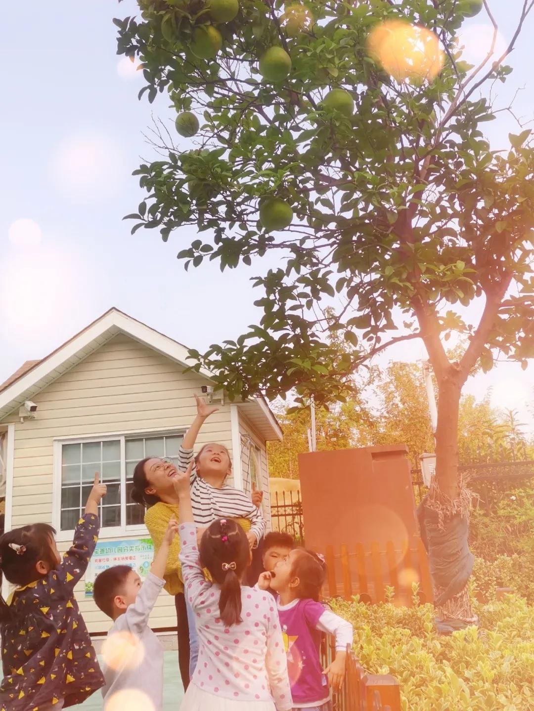 秋天你好吗,秋天你好