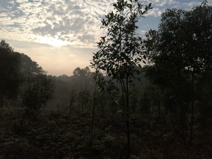 桂林市龙虎山庄,歌乐山龙虎山庄