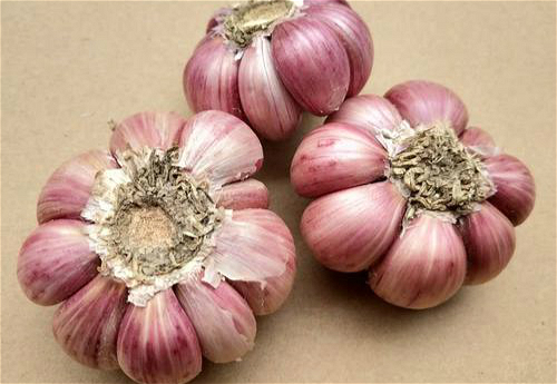 醋蒜汁腌腊八蒜可以吗,腌腊八蒜的盐和醋的比例