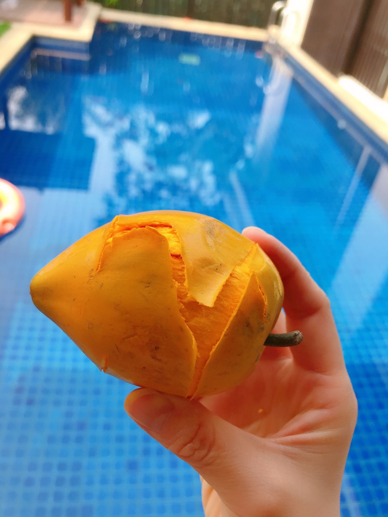 三亚躲台风,三亚避寒15天游玩攻略