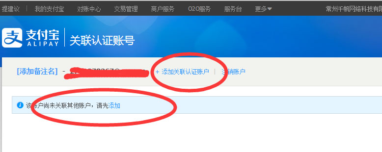 支付宝青年账号可以支付吗,支付宝如何申请支付接口
