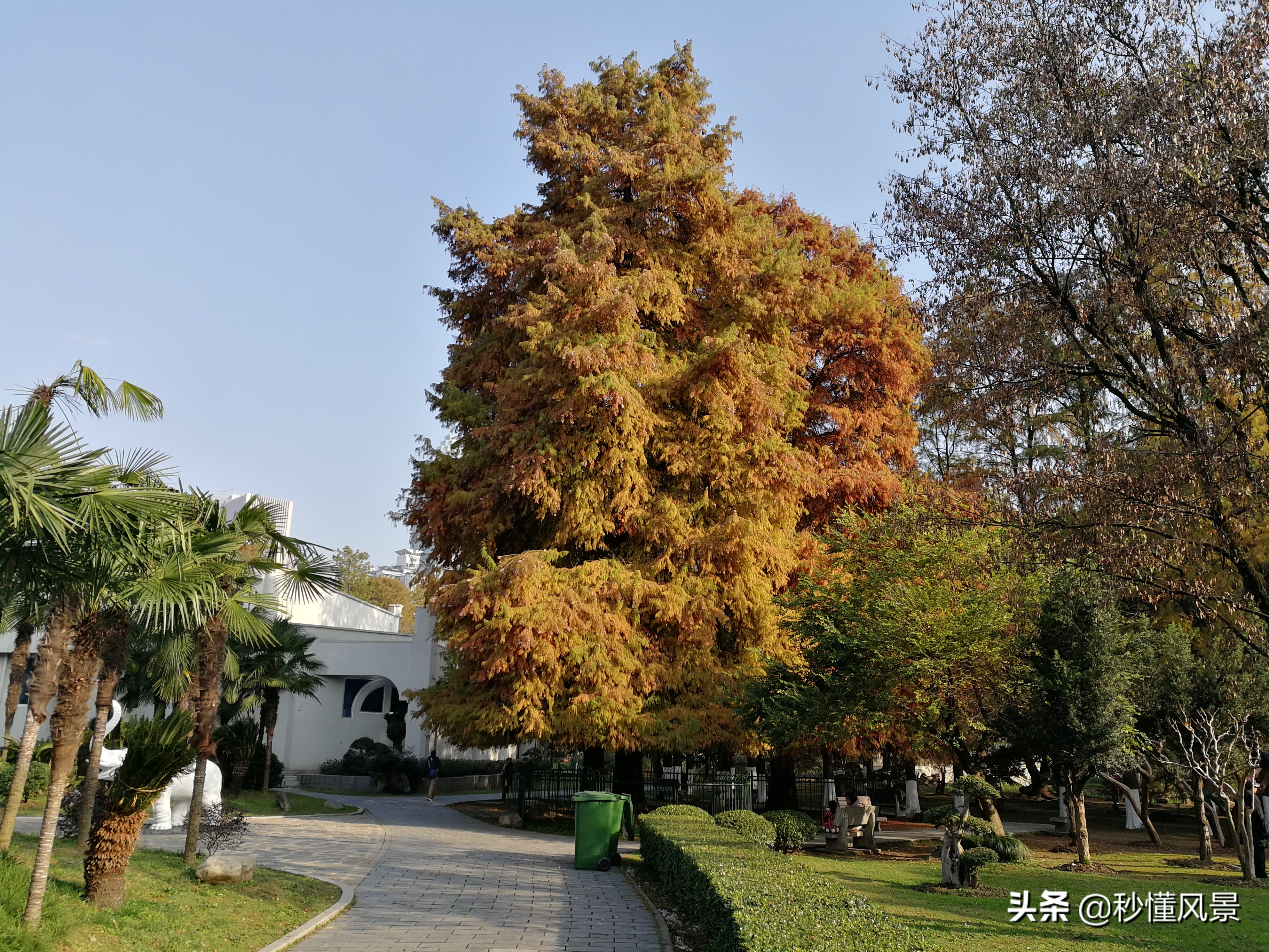 深秋武汉夜晚美景,秋日里的武汉
