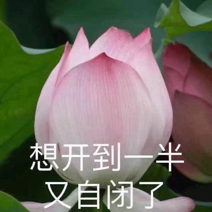 我花了2000块钱接头发，到底值不值？