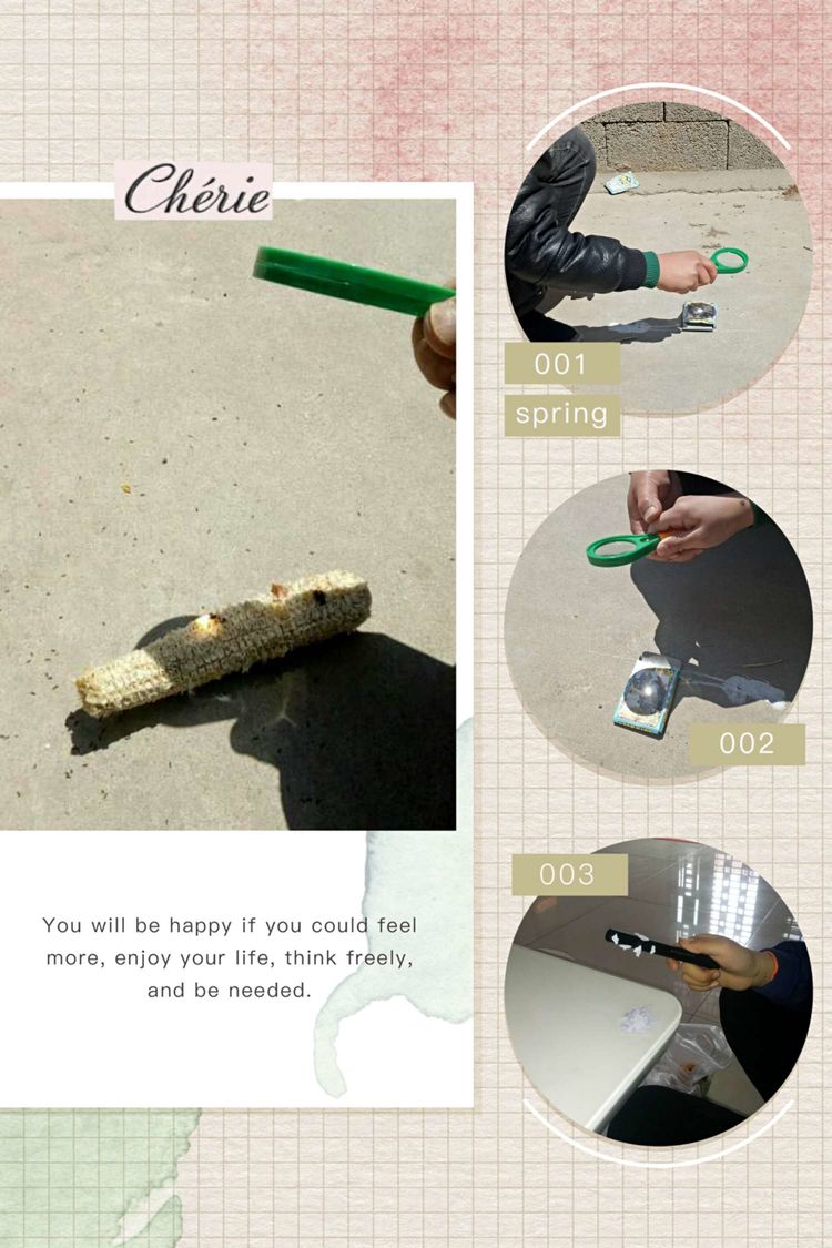 少年辛苦终身事，莫向光阴惰寸功。—峰山小学“宅而不慌”收获丰