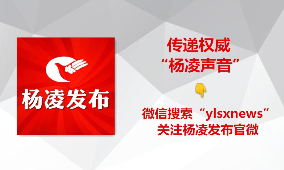 新农山新春文化节,杨凌春节文化活动