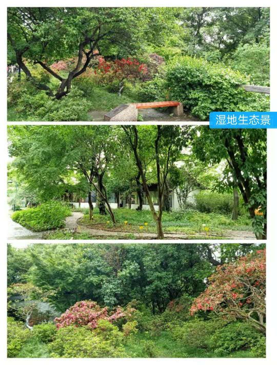 文化源远,三:水中寺庵？秋雪四面环水似孤岛蒋村二客夜走秋雪庵