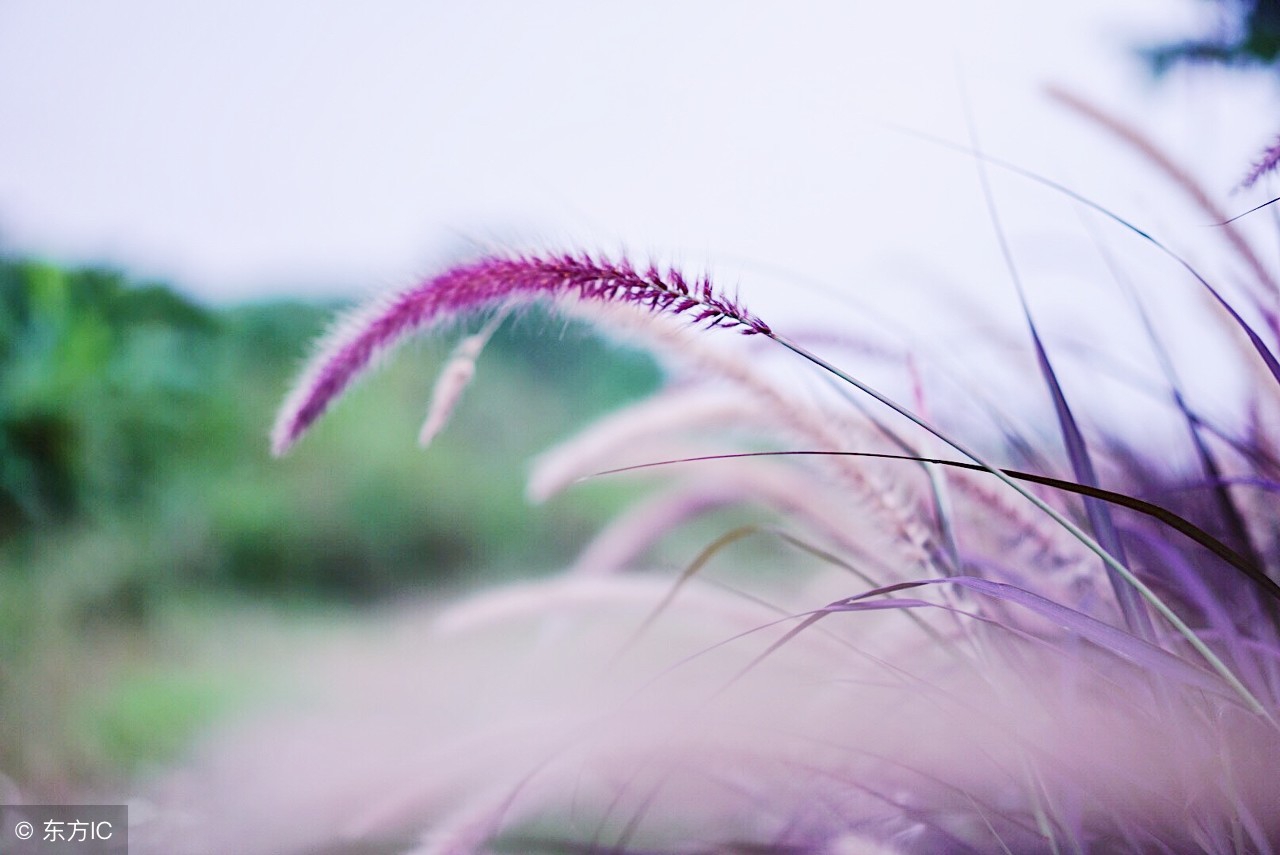 一位已婚女人写给情人的话,一位女人写给情人的一封信