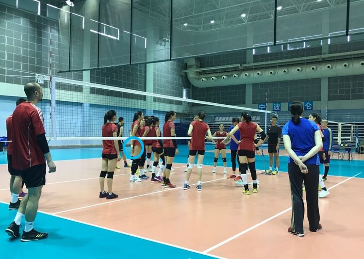 朱婷今天最真实消息,朱婷真实事件