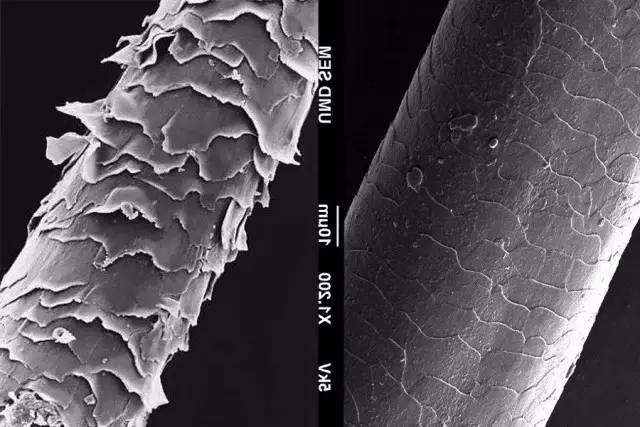 别让假发变成“钢丝球”！假发使用过程中一定不能这样做...