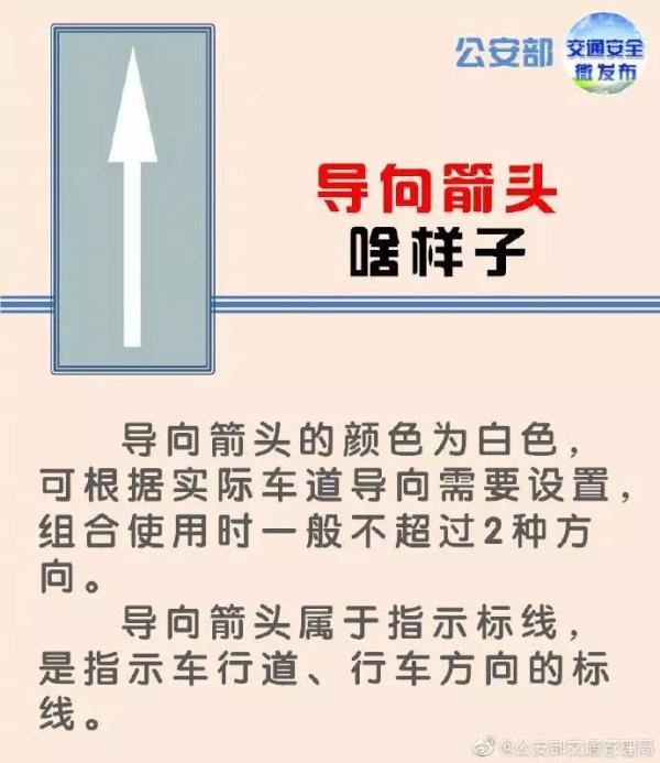 道路上画的箭头各代表什么,路面画有一排箭头标志