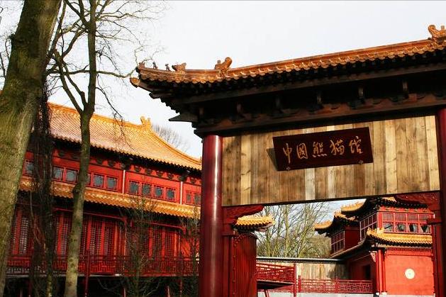 荷兰美景的照片,好看的荷兰风景图