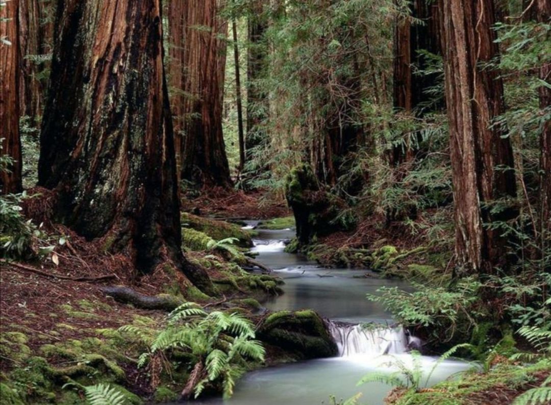 四本近期完结精品小说，思想迪化幕后流，诸天穿越废土流，很精彩
