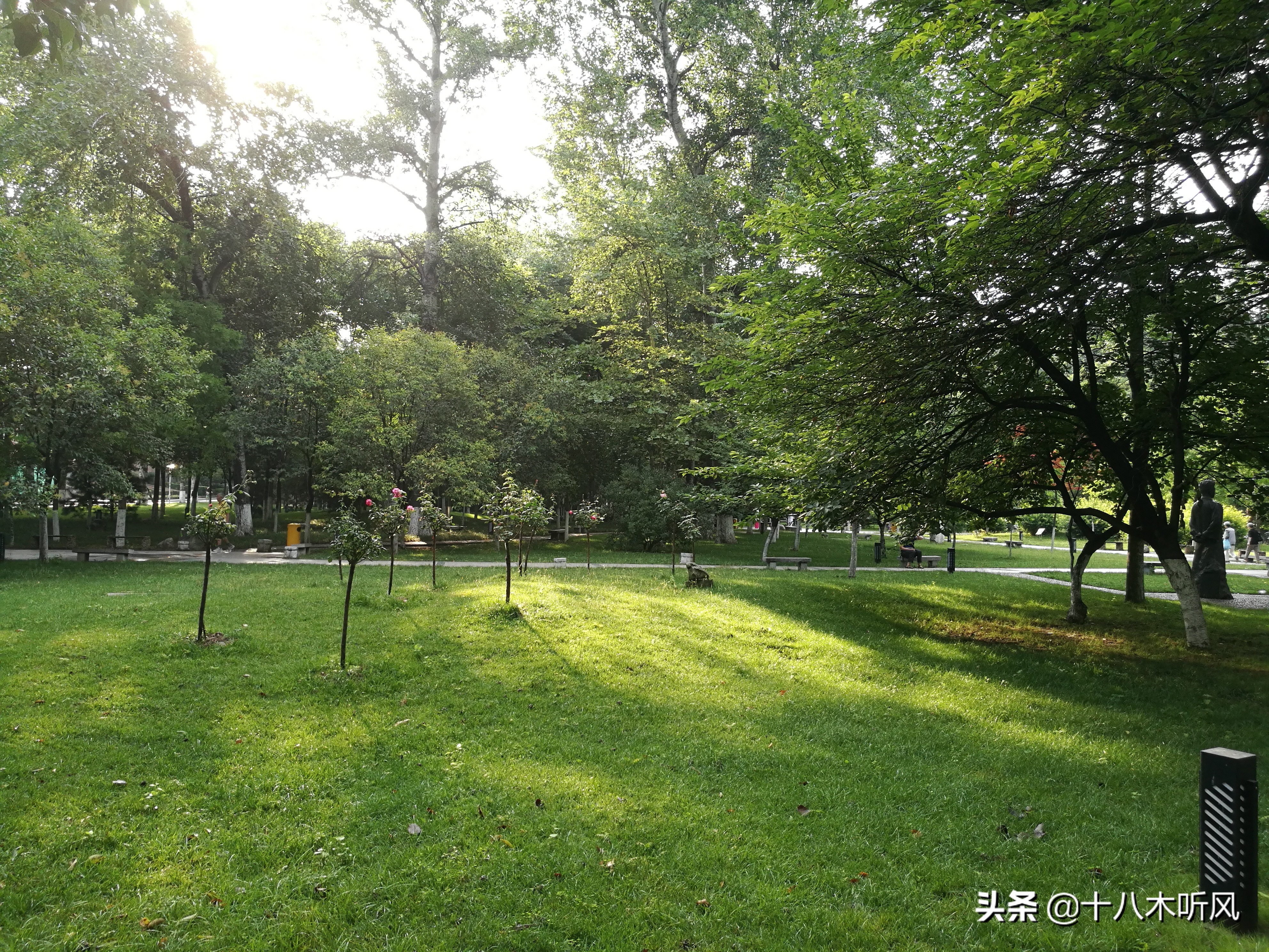 硕士论文盲审成绩能改吗,毕业论文盲评不过怎么办