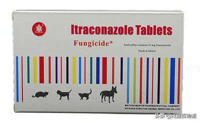 猫癣为什么一直不结痂,得了猫癣人得了猫癣怎么办