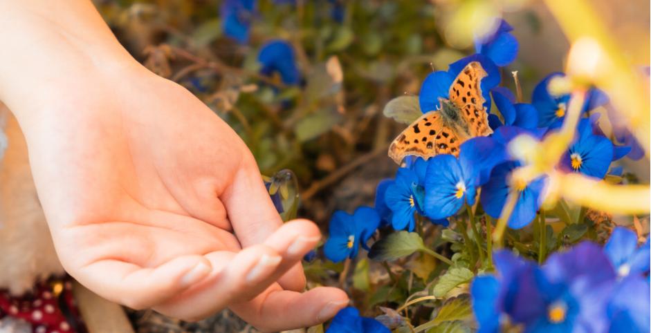 适马24-702.8二代镜头测评,适马新出的24-702.8镜头怎样
