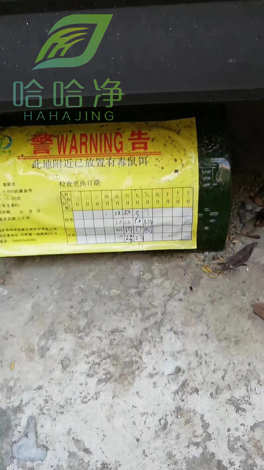 重庆专业灭鼠公司,重庆灭鼠哪家专业