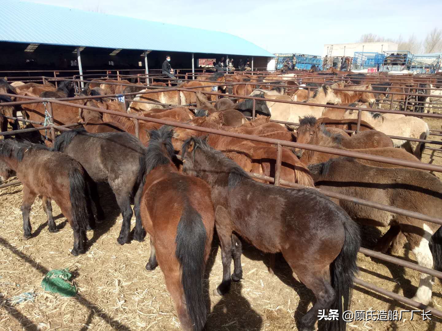 刑事案件未找到尸体能否立案,内蒙古杀人埋尸案