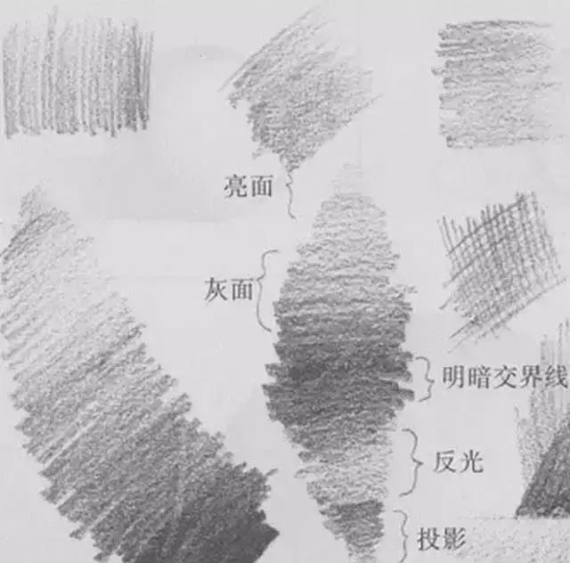 素描垂落式衬布画法,你会画素描吗