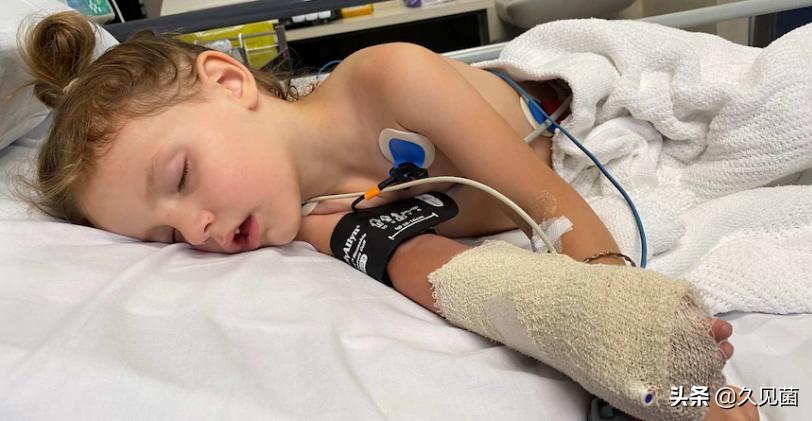 动物被蛇咬为什么不会死,狮子吃了被蛇咬的动物