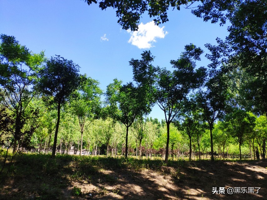 北京石渠公园在哪里,北京石渠公园