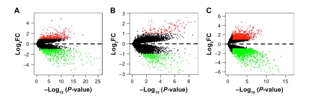 博士毕业神器3+分纯生信杂志：平均一审只要一个月，年刊量1000+