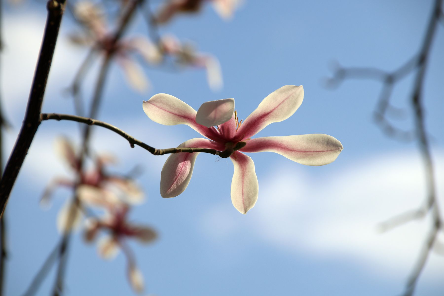 朋友两个字怎么注音,郭德纲解释什么是朋友原话