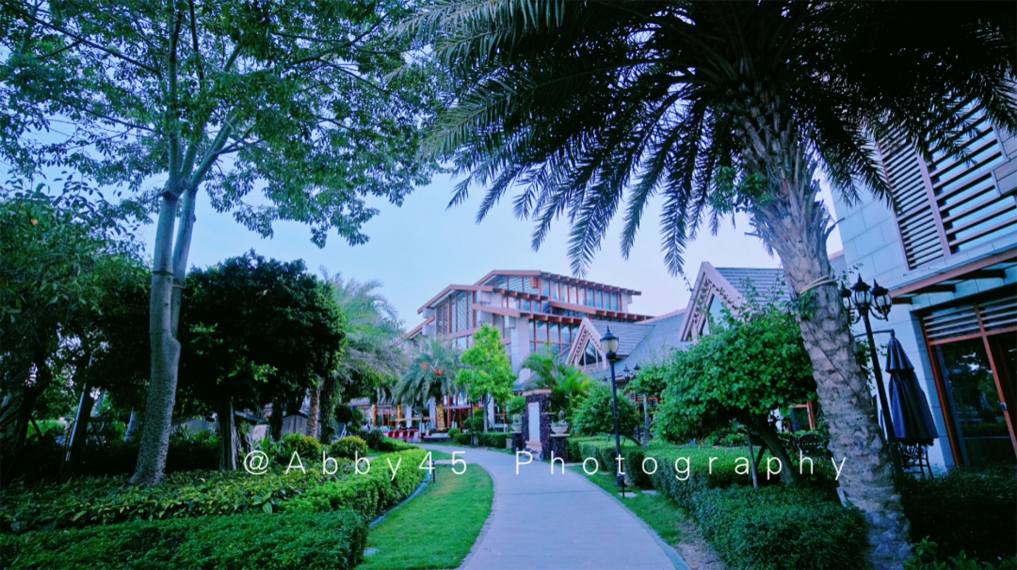 厦门观音山日出最美的地方,厦门观音山打卡地