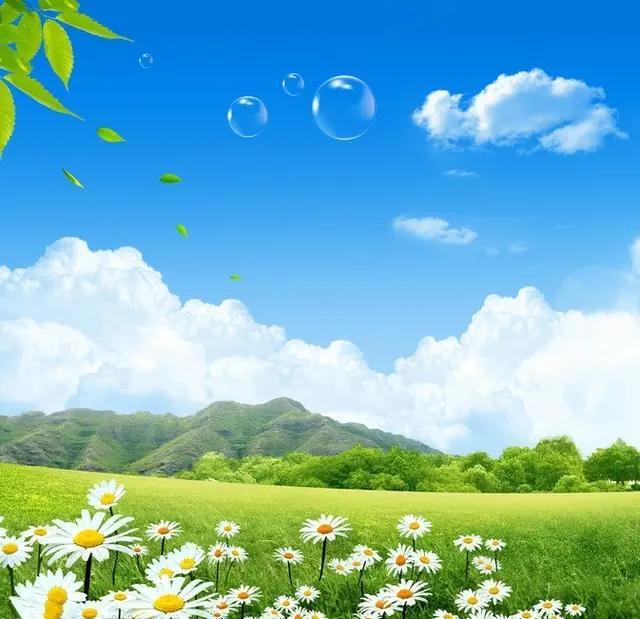 头条教你快速加v,今日头条训练营怎么加v