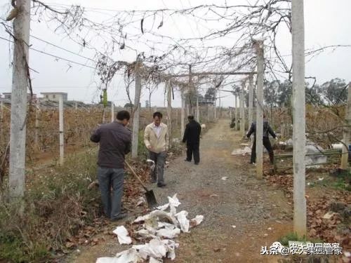 春季病虫害防治几月最佳,冬天怎样防治田间病虫害