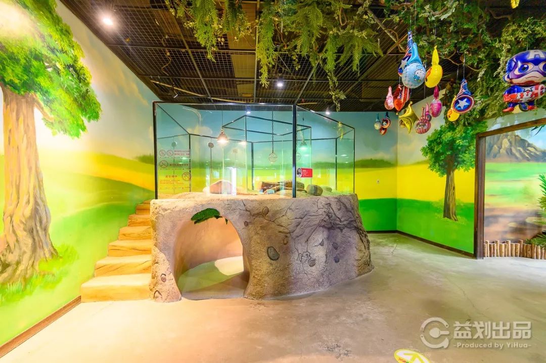 大连么么哒动物园 (大连小众动物园)