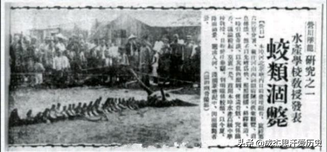 呕血事件,呕血所有片段